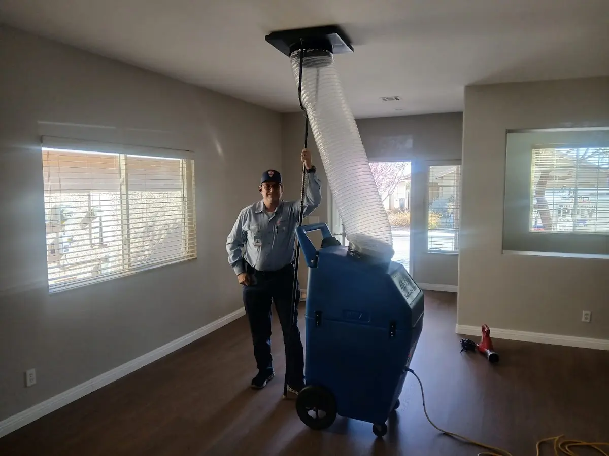 Professional Dryer Vent Cleaning work inside a New Brighton home